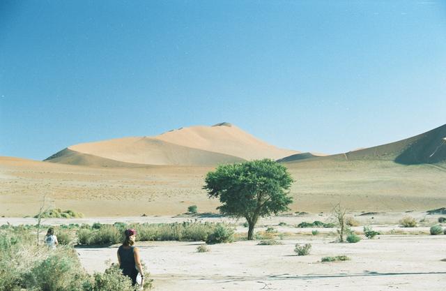 14dune-field