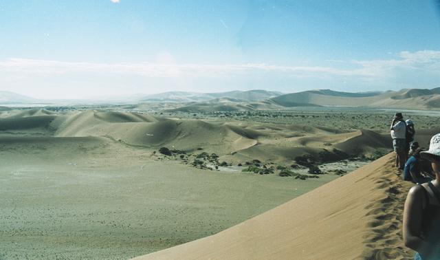 23dune-field