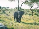 Tarangire NationalPark