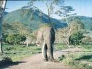 Ngorongoro Crater