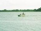 Zambezi crossing