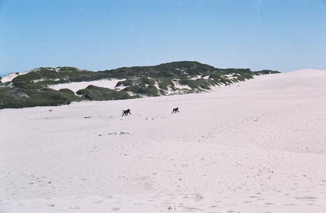 06beach