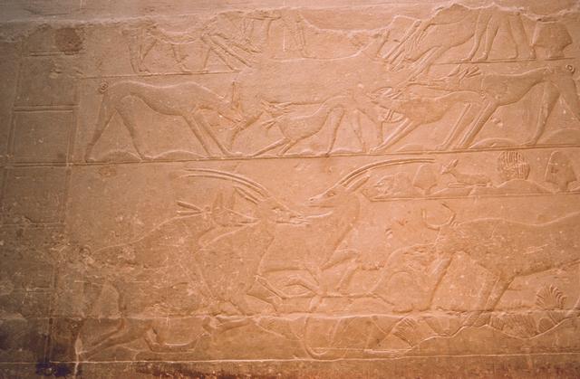 14reliefs