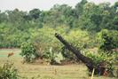 Images of Banteay Samre