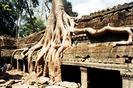 Image Ta Prohm