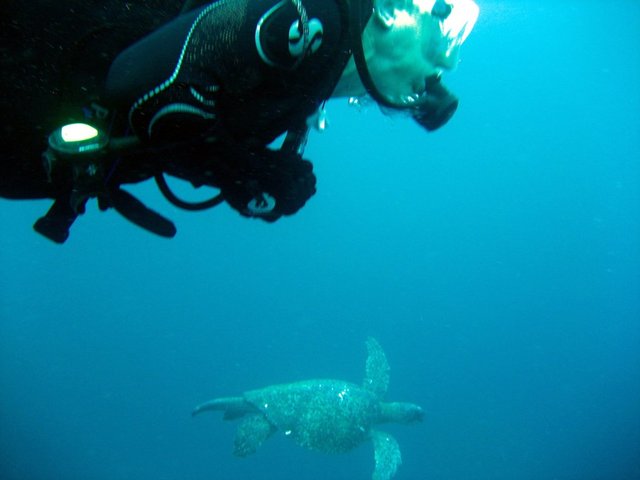 photo of Glenn and sea turtle