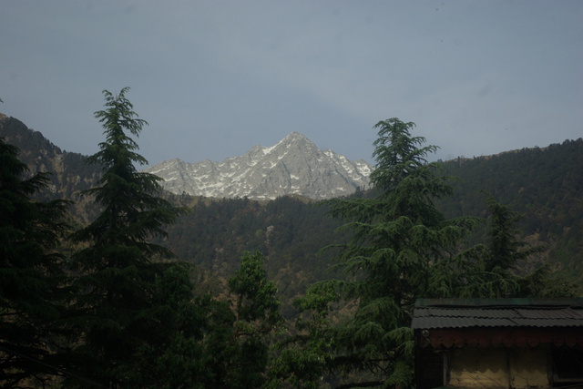 Himalayas from McLeod Ganj