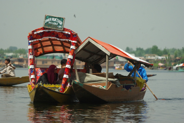 Image of Shikras on Dal Lake
