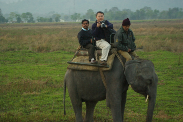Image of photographer on elephant