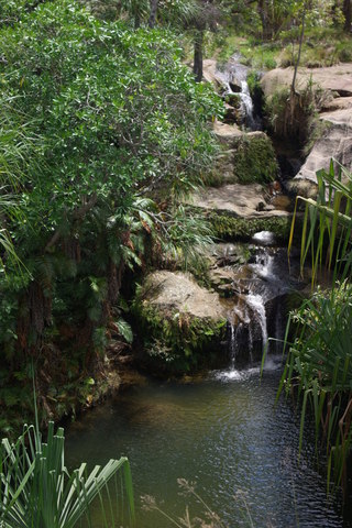 Image of natural pool and waterfall