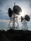 Image of Microwave dishes