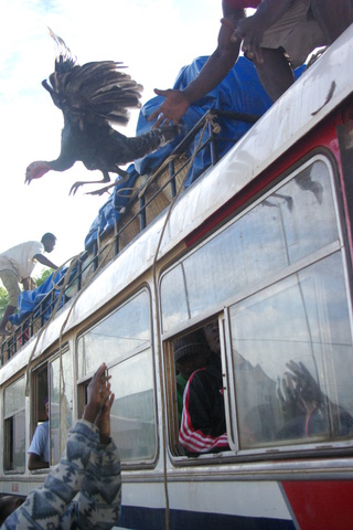 Image of Turkey being thrown